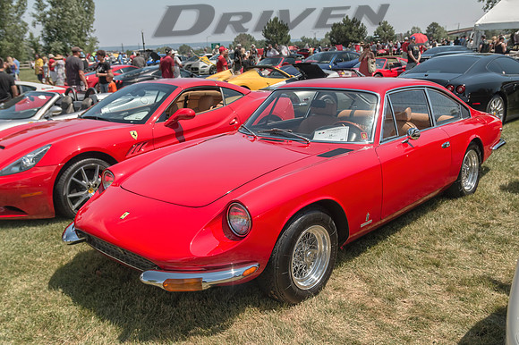 1969 Ferrari 365GT2+2 - 8