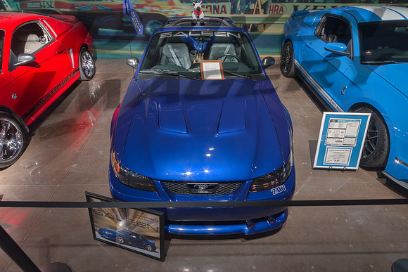 2014 Saleen Mustang Convertible - 2