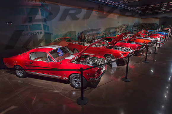 Denver Mustang Club Exhibit - 1