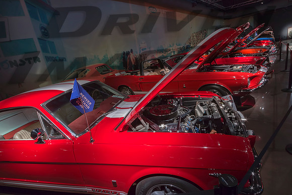 Denver Mustang Club Exhibit - 2