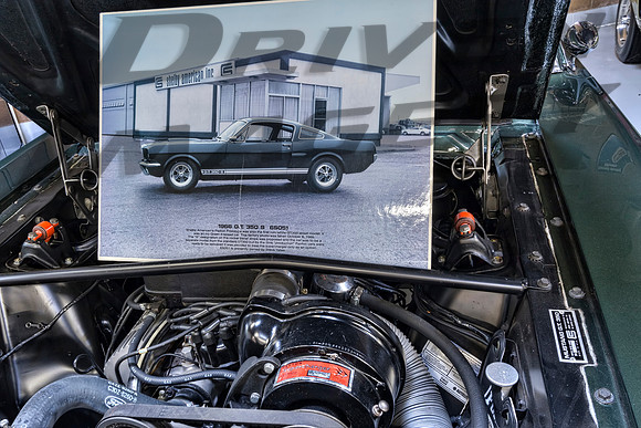 1966 Shelby Mustang GT350 S with Paxton  Super Charger - 2