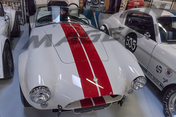 1964 Cobra 'Slalom Snake' CSX 2537 - 1