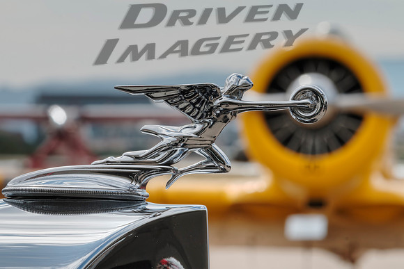 1934 Packard Super 8 Hood Ornament