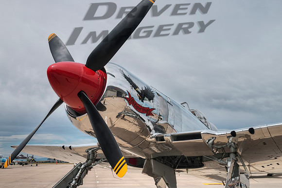Hawker Sea Fury T.20 'On Eagles' Wings' - 1