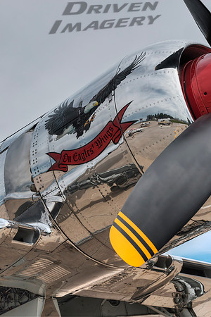Hawker Sea Fury T.20 'On Eagles' Wings' - 2
