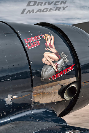 North American T-6 SNJ-5 - Lucky's Lady 'Showtime' -  1