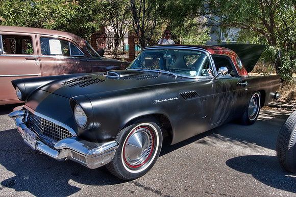 Evil Looking Black T-Bird