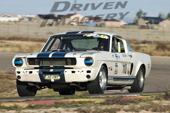 110 Bob Hill - 1966 Ford Shelby GT 350 - 5
