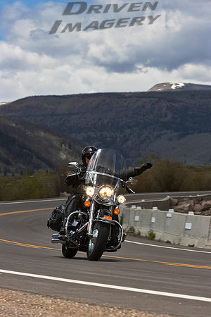 Harley Davidson Heritage Softail - Dwayne Catalano - 1