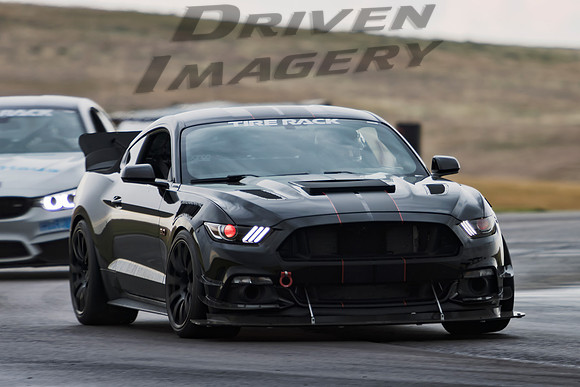 Greg Paine - 2015 Ford Mustang GT - 5