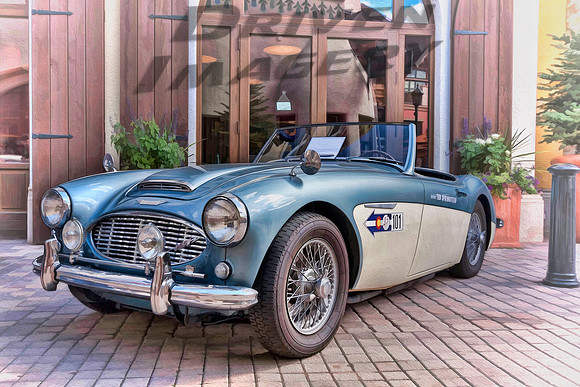 101 Ted Springstead - 1960 Austin Healey 3000 Mark I - 3