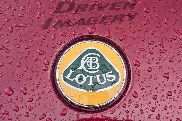 Lotus Emblem
