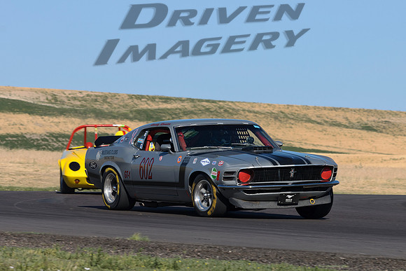 602 Randy Rosetta - 1970 Ford Mustang BOSS 302 - 2