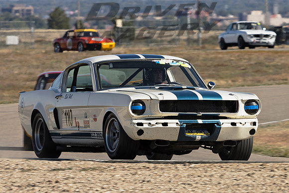 110 Bob Hill - 1966 Ford Shelby GT 350 - 2