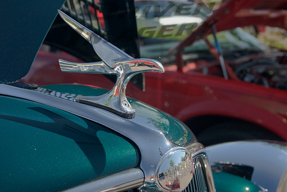 1935 Hudson Terraplane - Hood Ornament