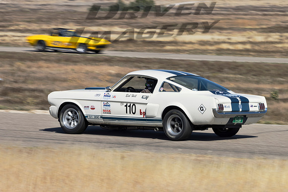 110 Bob Hill - 1966 Ford Shelby GT 350 - 1
