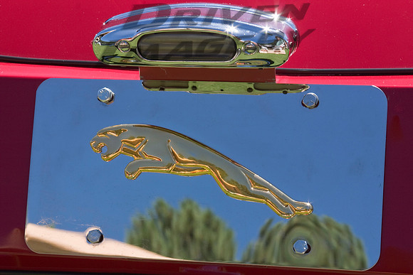 1953 Jaguar XK120 FHC Leaping Jaguar Plate