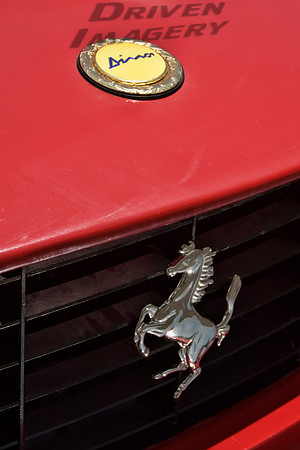 1970 Fiat Dino Spider - Emblem