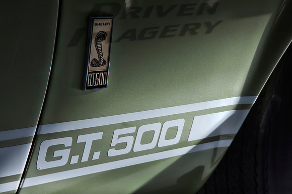 Shelby GT 500 - Emblem Detail