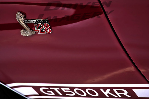 Shelby GT500 KR - 428 Cobra Jet - Emblem Detail