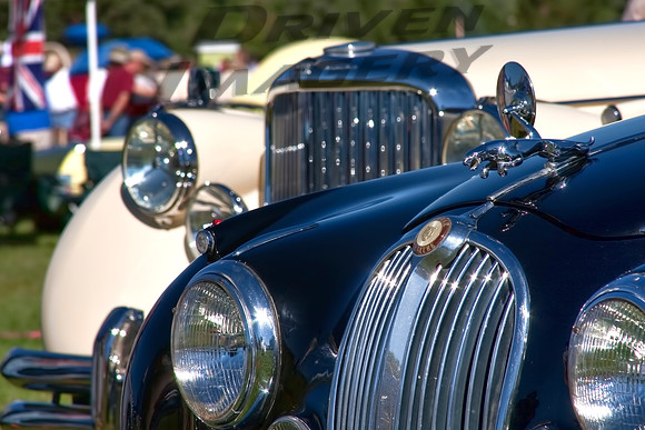 Black Jaguar Mk2 - Bonnet & Grill Details