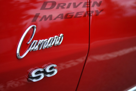 Camarao SS Emblem